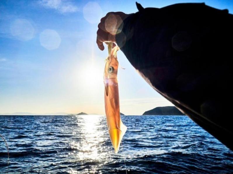 Experience Relais " Il Termine Elba " Hotell Rio Marina Eksteriør bilde