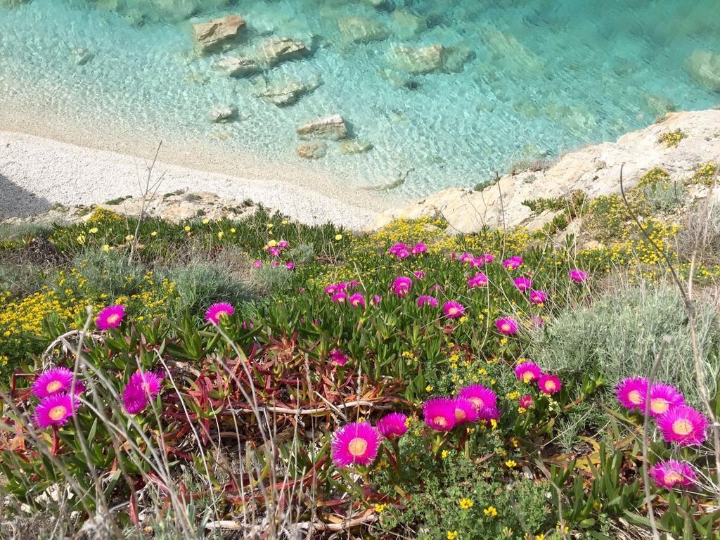 Experience Relais " Il Termine Elba " Hotell Rio Marina Eksteriør bilde